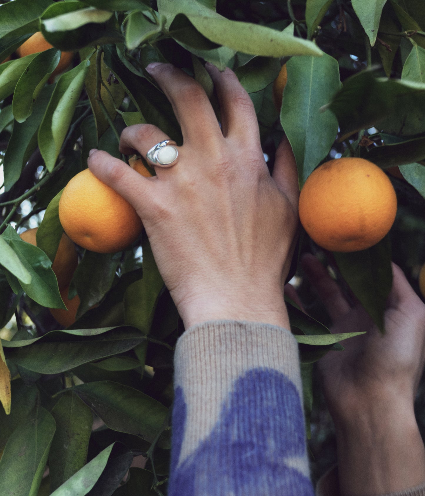 ブロック29 ブラックオニキス